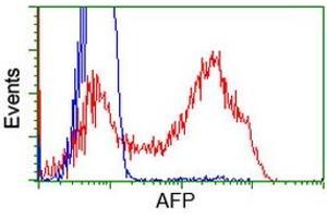 HEK293T cells transfected with either RC206622 overexpress plasmid (Red) or empty vector control plasmid (Blue) were immunostained by anti-AFP antibody (ABIN2452711), and then analyzed by flow cytometry. (alpha Fetoprotein 抗体)