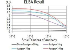 Black line: Control Antigen (100 ng), Purple line: Antigen(10 ng), Blue line: Antigen (50 ng), Red line: Antigen (100 ng), (LGR5 抗体  (AA 22-178))