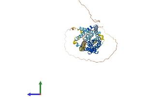 Protein Structure (PS) image for Solute Carrier Family 10 (Sodium/bile Acid Cotransporter Family), Member 4 (SLC10A4) (AA 1-437) protein (His tag) (ABIN7557173)