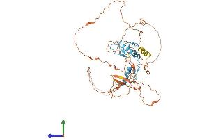 AlphaFold protein structure predicition of Mouse Recombinant Klf15 Protein, UniprotID Q9EPW2 (KLF15 Protein (AA 1-415) (His tag))