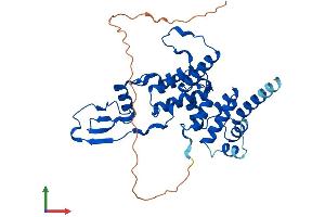 Protein Structure (PS) image for Mitochondrial Ribosomal Protein S22 (MRPS22) (AA 1-359) protein (His tag) (ABIN7560732)
