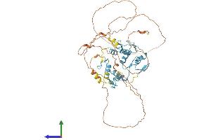 Protein Structure (PS) image for Pleiomorphic Adenoma Gene 1 (PLAG1) (AA 1-499) protein (His tag) (ABIN7561786)