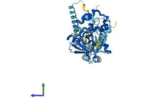 Protein Structure (PS) image for Cytohesin 3 (CYTH3) (AA 1-400) protein (His tag) (ABIN7546956)