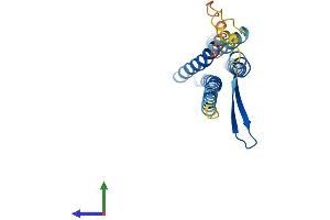 AlphaFold protein structure predicition of Human Recombinant TVP23B Protein, UniprotID Q9NYZ1 (TVP23C/FAM18B2 Protein (AA 1-205) (His tag))
