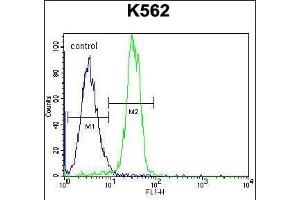 Flow Cytometry (FACS) image for anti-StAR-Related Lipid Transfer (START) Domain Containing 6 (STARD6) (AA 187-215), (C-Term) antibody (ABIN655777)