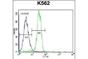 STARD6 Antibody (C-term) (ABIN655777 and ABIN2845214) flow cytometric analysis of K562 cells (right histogram) compared to a negative control cell (left histogram). (STARD6 抗体  (C-Term))