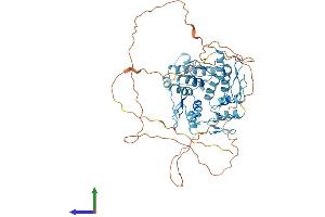 Protein Structure (PS) image for Zinc Finger Protein 324 (ZNF324) (AA 1-553) protein (His tag) (ABIN7545714)