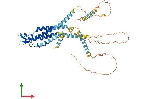 Protein Structure (PS) image for Gap Junction Protein, gamma 1, 45kDa (GJC1) (AA 1-396) protein (His tag) (ABIN7546892)
