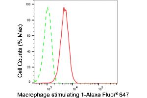 Flow cytometric analysis of Macrophage stimulating 1 expression in HepG2 cells using Macrophage stimulating 1 antibody (ABIN7799315), 1:2,000). (Recombinant MST1 抗体)