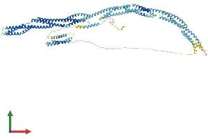 AlphaFold protein structure predicition of Mouse Recombinant Syne3 Protein, UniprotID Q4FZC9