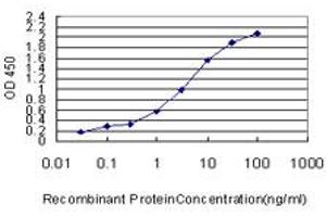 Detection limit for recombinant GST tagged RAD51 is approximately 0. (RAD51 抗体  (AA 1-242))