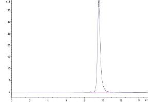 Size-exclusion chromatography-High Pressure Liquid Chromatography (SEC-HPLC) image for SARS-CoV-2 Spike (P.1 - gamma), (RBD) protein (His tag) (ABIN7274758)