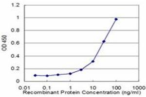 Detection limit for recombinant GST tagged PLK1 is approximately 1ng/ml as a capture antibody. (PLK1 抗体  (AA 1-603))