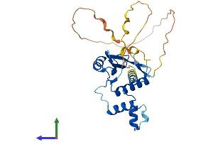 Protein Structure (PS) image for Cytokine Inducible SH2-Containing Protein (CISH) (AA 1-258) protein (His tag) (ABIN7546605)
