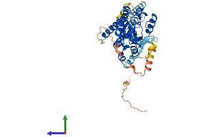 Protein Structure (PS) image for Uronyl-2-Sulfotransferase (UST) (AA 1-406) protein (His tag) (ABIN7545023)