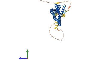 Protein Structure (PS) image for ADP-Ribosylation Factor Interacting Protein 2 (ARFIP2) (AA 1-341) protein (His tag) (ABIN7559489)