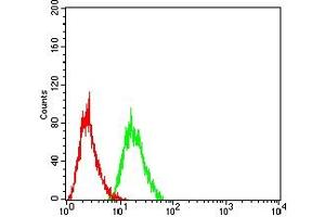 Flow cytometric analysis of HL-60 cells using CD334 mouse mAb (green) and negative control (red). (FGFR4 抗体  (AA 22-369))
