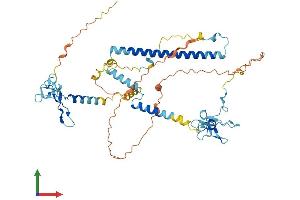 Protein Structure (PS) image for KAT8 Regulatory NSL Complex Subunit 2 (KANSL2) (AA 1-486) protein (His tag) (ABIN7558822)