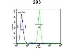 Flow cytometric analysis of 293 cells using OSTA Antibody (C-term) Cat. (OST alpha 抗体  (C-Term))