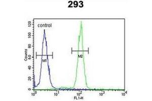 Flow cytometric analysis of 293 cells using OSTA Antibody (C-term) Cat.