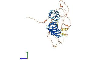 Protein Structure (PS) image for Nuclear RNA Export Factor 3 (NXF3) (AA 1-531) protein (His tag) (ABIN7550411)