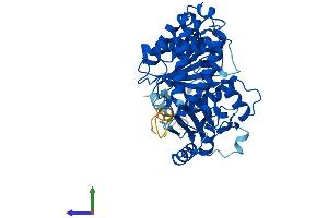 Protein Structure (PS) image for Tubulin, alpha 1c (TUBA1C) (AA 1-449) protein (His tag) (ABIN7544233)