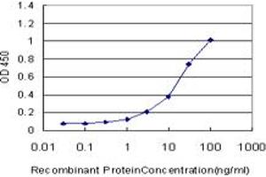 Detection limit for recombinant GST tagged KCTD9 is approximately 0. (KCTD9 抗体  (AA 1-389))