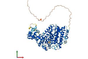 Protein Structure (PS) image for Asteroid Homolog 1 (ASTE1) (AA 1-679) protein (His tag) (ABIN7552475)