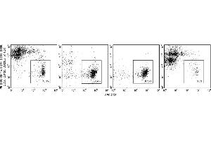 Flow Cytometry (FACS) image for Human CD8 T Lymphocyte Enrichment Set-DM (ABIN2690971) (人 CD8 T Lymphocyte Enrichment Set-DM)