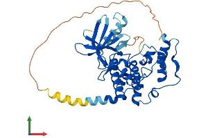 Protein Structure (PS) image for Cyclin-Dependent Kinase-Like 1 (CDC2-Related Kinase) (CDKL1) (AA 1-352) protein (His tag) (ABIN7559290)