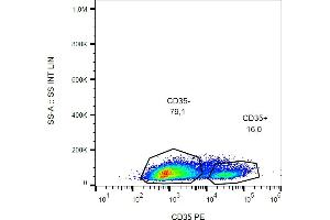 Flow cytometry analysis (surface staining) of CD35 in human peripheral blood with anti-CD35 (E11) PE. (CD35 抗体  (PE))