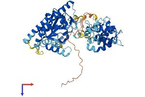 LPCAT1 Protein (AA 1-534) (His tag)