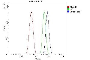 Flow Cytometry analysis of U87 cells using anti-UBE3A antibody (ABIN7599564).