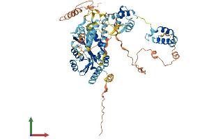 Protein Structure (PS) image for Pogo Transposable Element with KRAB Domain (POGK) (AA 1-609) protein (His tag) (ABIN7550792)