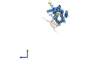 Protein Structure (PS) image for Serotonin Receptor 1B (HTR1B) (AA 1-386) protein (His tag) (ABIN7563046)