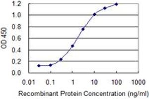 Detection limit for recombinant GST tagged UTRN is 0. (Utrophin 抗体  (AA 3328-3433))