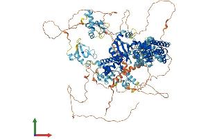 AlphaFold protein structure predicition of Human Recombinant ZNF862 Protein, UniprotID O60290