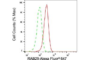 Flow cytometric analysis of RAB29 expression in HepG2 cells using RAB29 antibody (ABIN7800102), 1:2,000). (Recombinant RAB7L1 抗体)