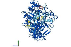 Protein Structure (PS) image for Acetoacetyl-CoA Synthetase (AACS) (AA 1-672) protein (His tag) (ABIN7560924)
