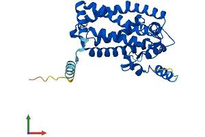 Protein Structure (PS) image for Methylsterol Monooxygenase 1 (MSMO1) (AA 1-293) protein (His tag) (ABIN7560627)