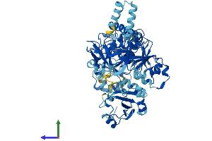 Protein Structure (PS) image for Solute Carrier Family 27 (Fatty Acid Transporter), Member 4 (SLC27A4) (AA 1-643) protein (His tag) (ABIN7564783)