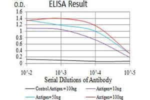 Black line: Control Antigen (100 ng);Purple line: Antigen (10ng); Blue line: Antigen (50 ng); Red line:Antigen (100 ng) (Complement C3c 抗体  (AA 1521-1649))