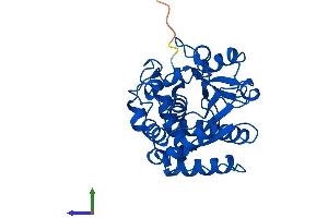 Protein Structure (PS) image for Sulfotransferase Family, Cytosolic, 1A, Phenol-Preferring, Member 4 (SULT1A4) (AA 1-295) protein (His tag) (ABIN7544030)