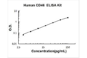 CD46 (CD46) ELISA Kit