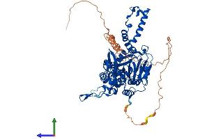 Protein Structure (PS) image for Chromosome 14 Open Reading Frame 169 (C14orf169) (AA 1-603) protein (His tag) (ABIN7565099)