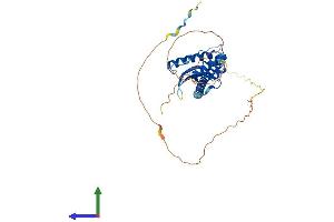 Protein Structure (PS) image for Sorting Nexin 16 (SNX16) (AA 1-344) protein (His tag) (ABIN7559065)