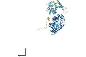 Protein Structure (PS) image for Adenylate Kinase 7 (AK7) (AA 1-723) protein (His tag) (ABIN7554280)