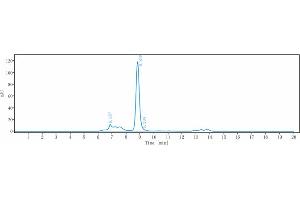 anti-Six Transmembrane Epithelial Antigen of The Prostate 1 (STEAP1) antibody