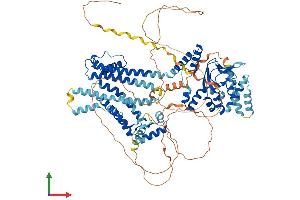 AlphaFold protein structure predicition of Mouse Recombinant Hcn2 Protein, UniprotID O88703
