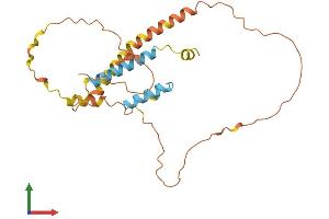AlphaFold protein structure predicition of Human Recombinant C22orf42 Protein, UniprotID Q6IC83